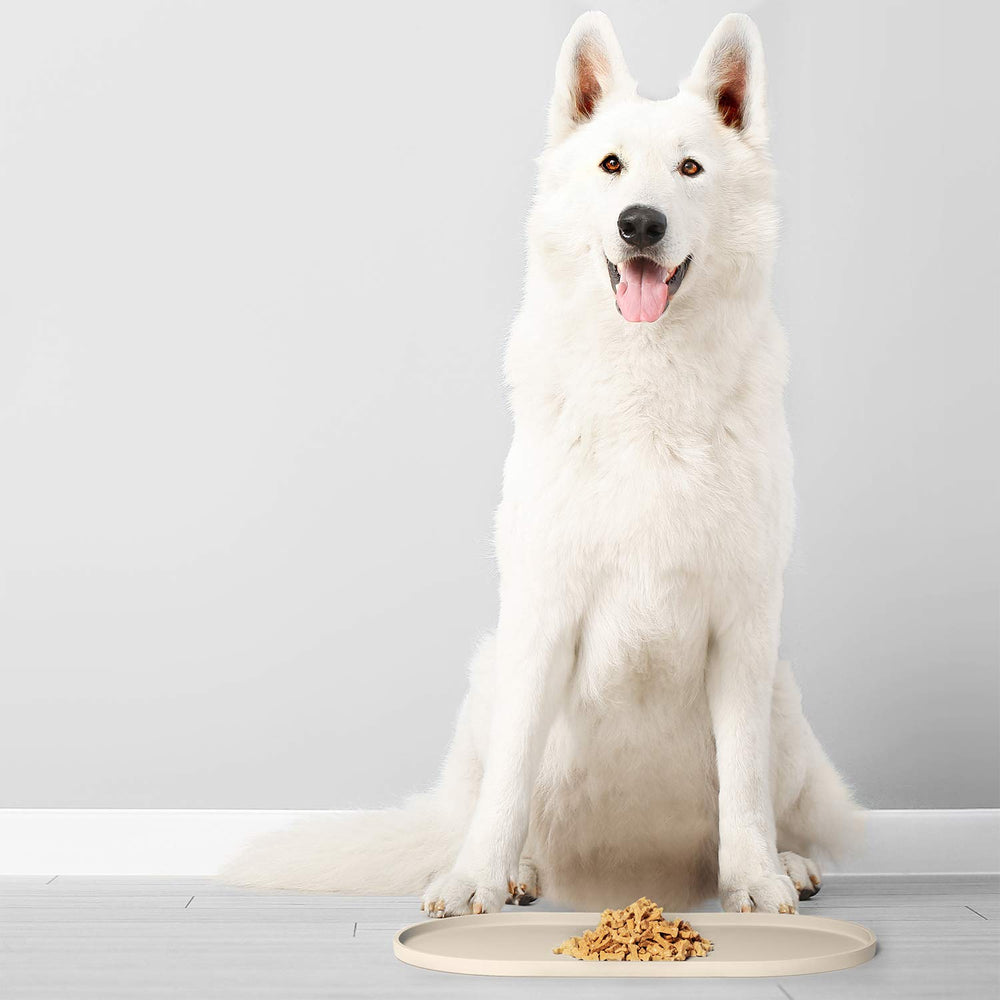DogBuddy raised-edge design helps contain messes on any floor.