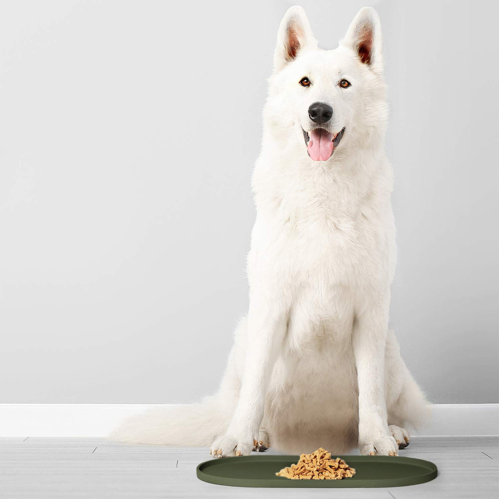 DogBuddy dog food mat under-bowls protection shields floors during feeding.