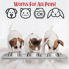 DogBuddy non slip bowls on mat reduces sliding during meals.