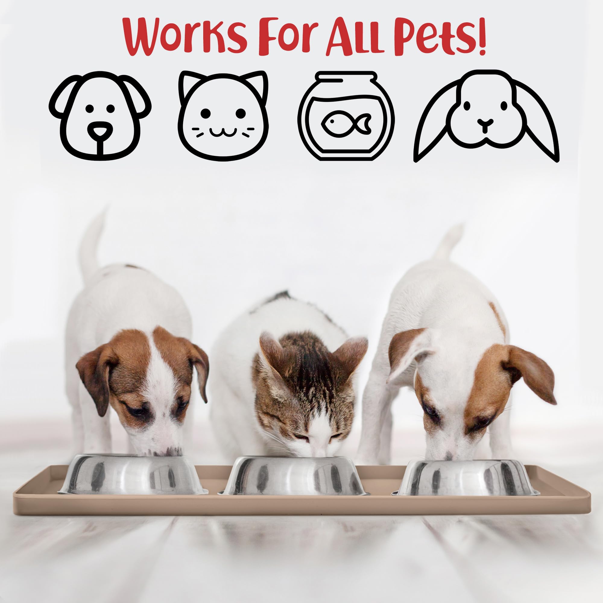 DogBuddy non-slip surface keeps bowls in place during feeding.