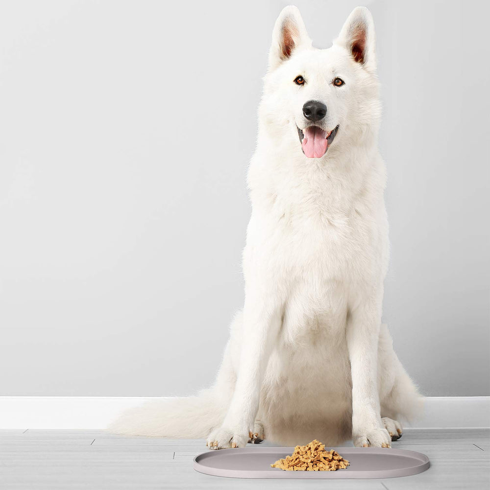 DogBuddy travel rollable mat ready for mess-free trips