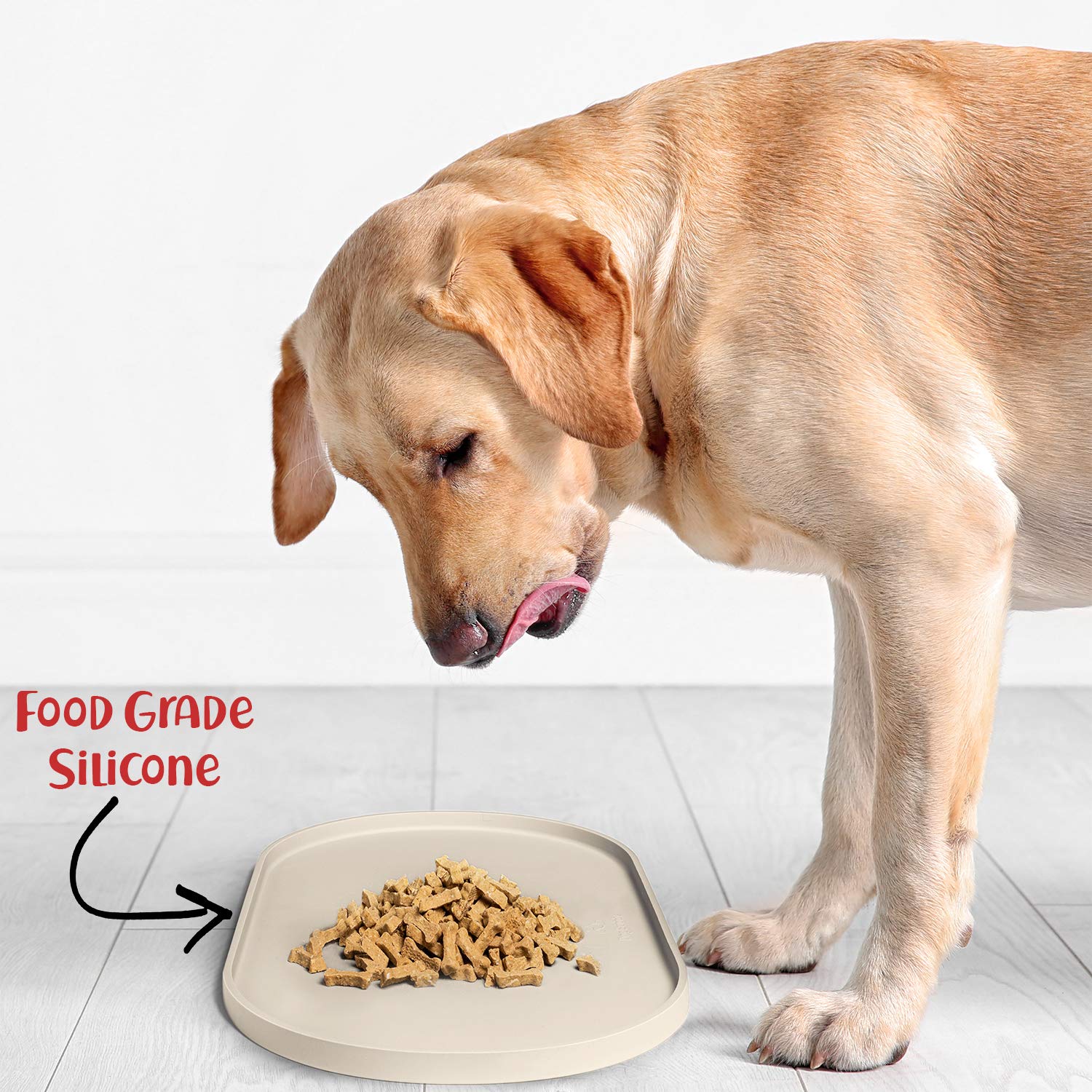 DogBuddy white sand color blends with home decor under bowls