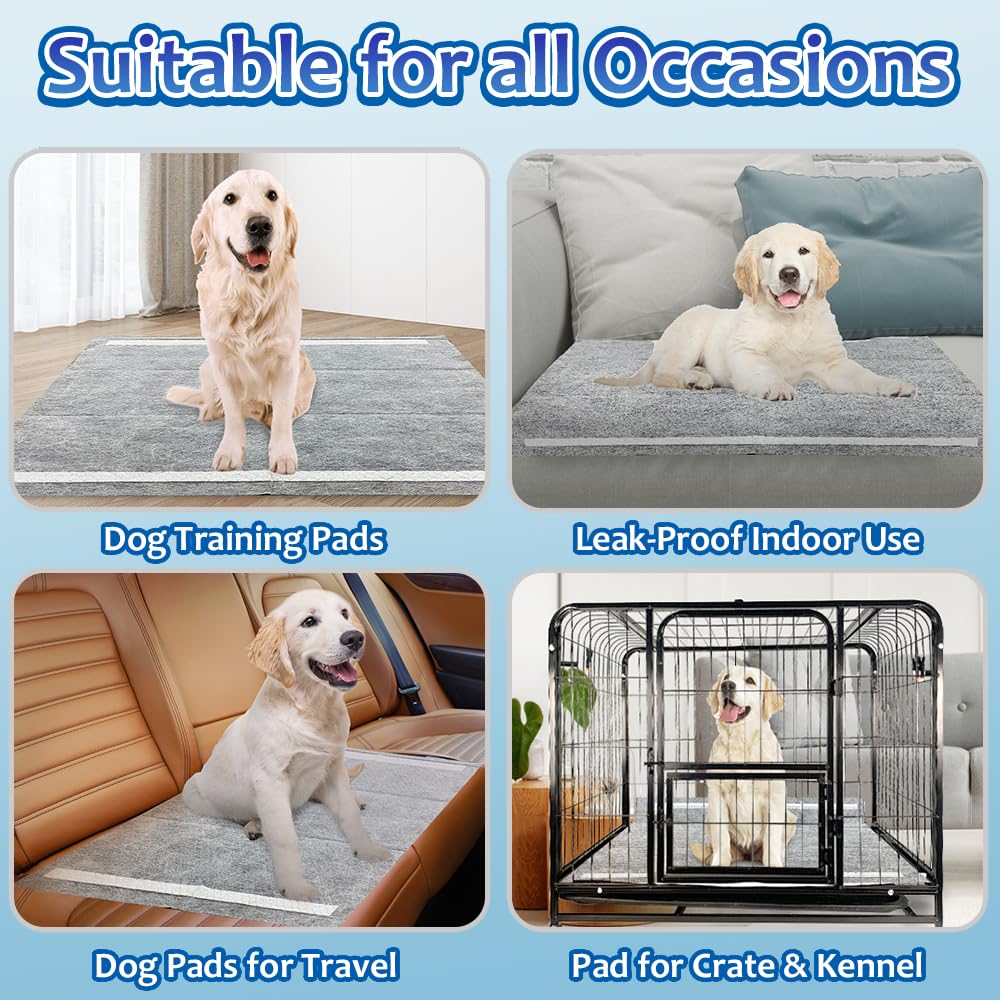 Dogcator potty-training pads keep indoor areas cleaner in training setups.