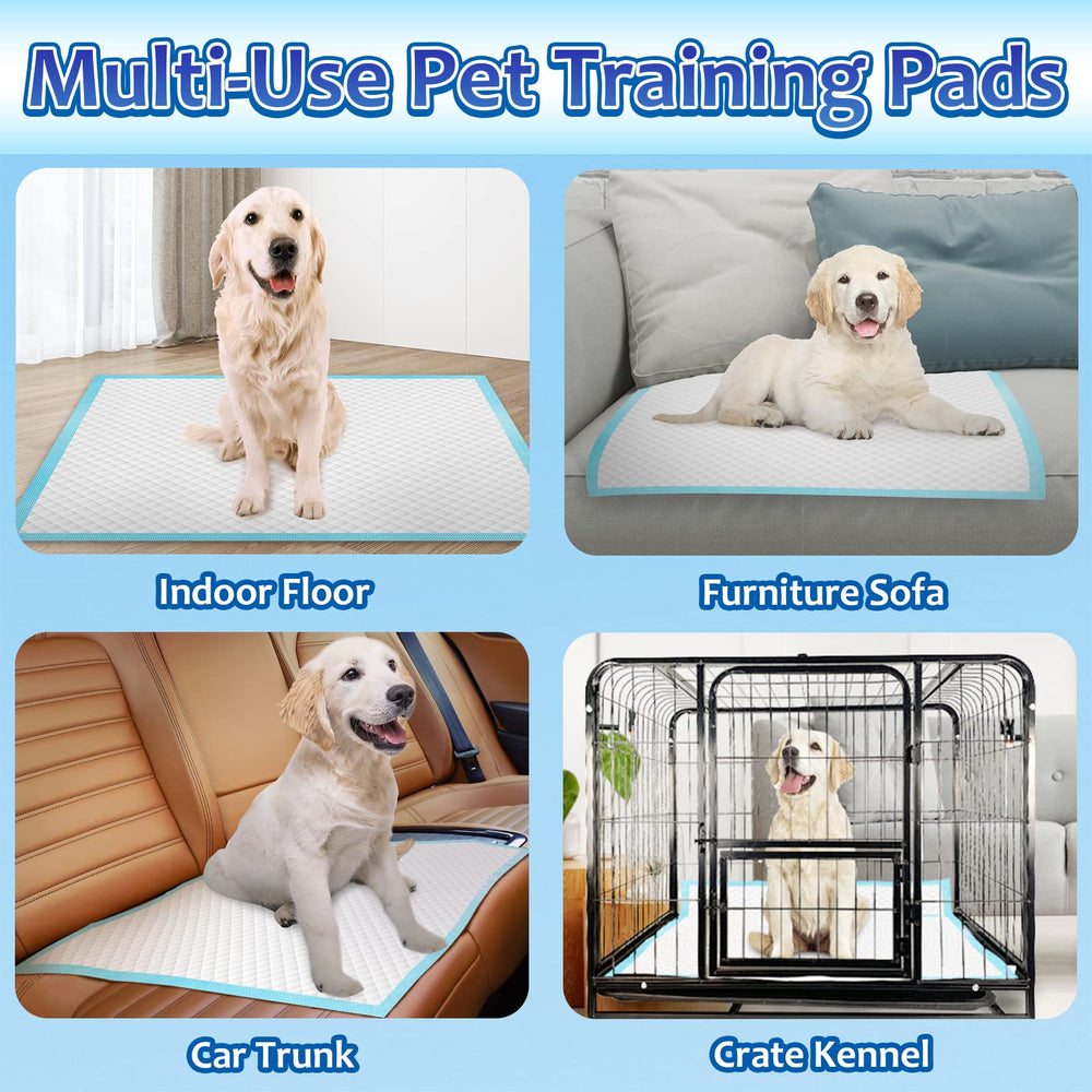 Dogcator Puppy Pads 40-count pack provides ample training options.