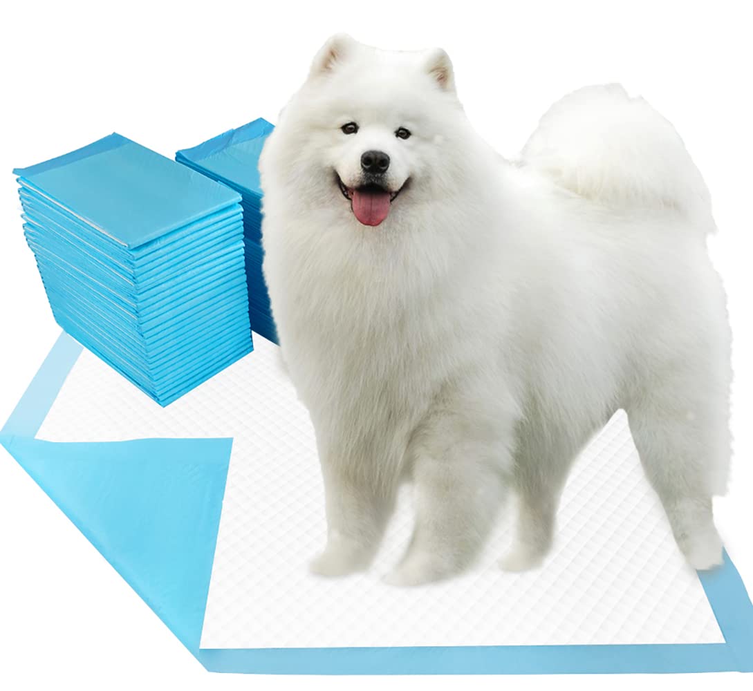 Dogcator Puppy Pads with a 6-layer absorbent design keep floors drier.
