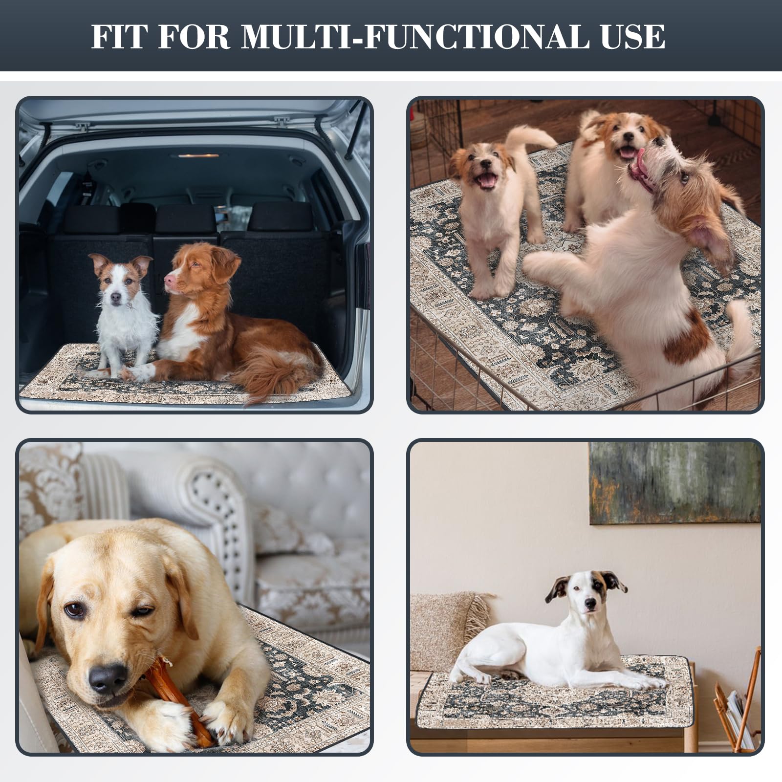 Dogcator washable pee pad in living room setting, showcases indoor practicality.