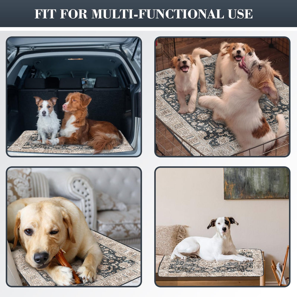 Dogcator washable pee pad in living room setting, showcases indoor practicality.