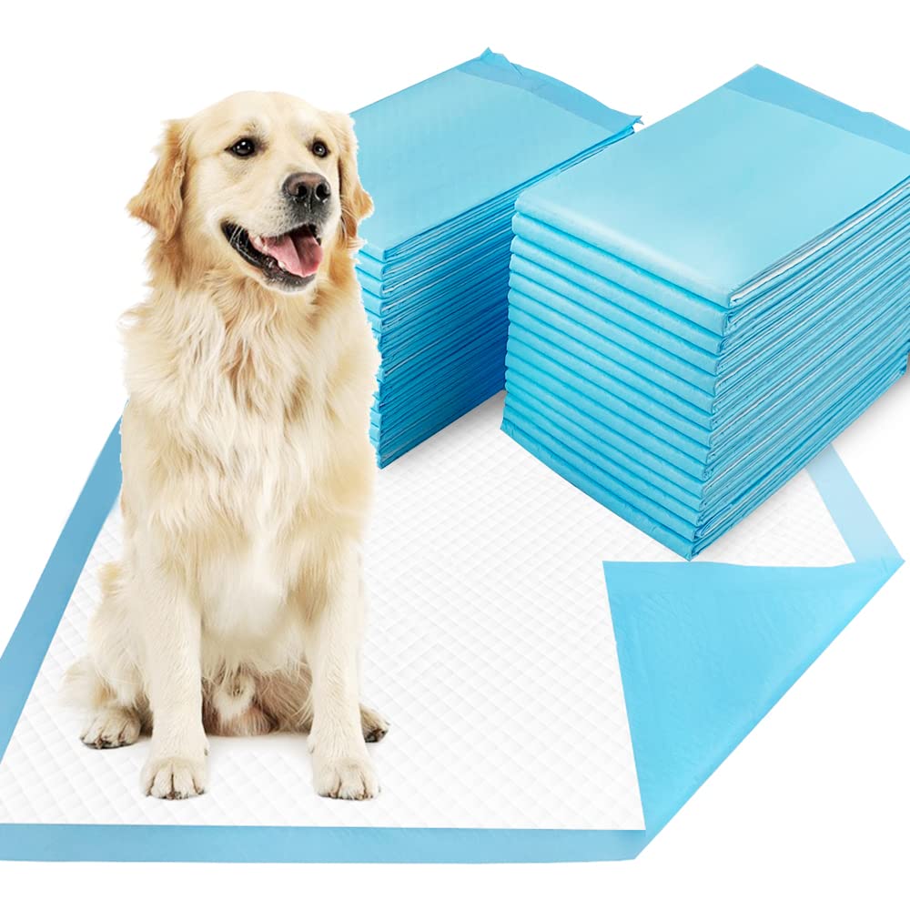Dogcator XL dog pee pad 30x36 provides ample coverage for training and mess containment.