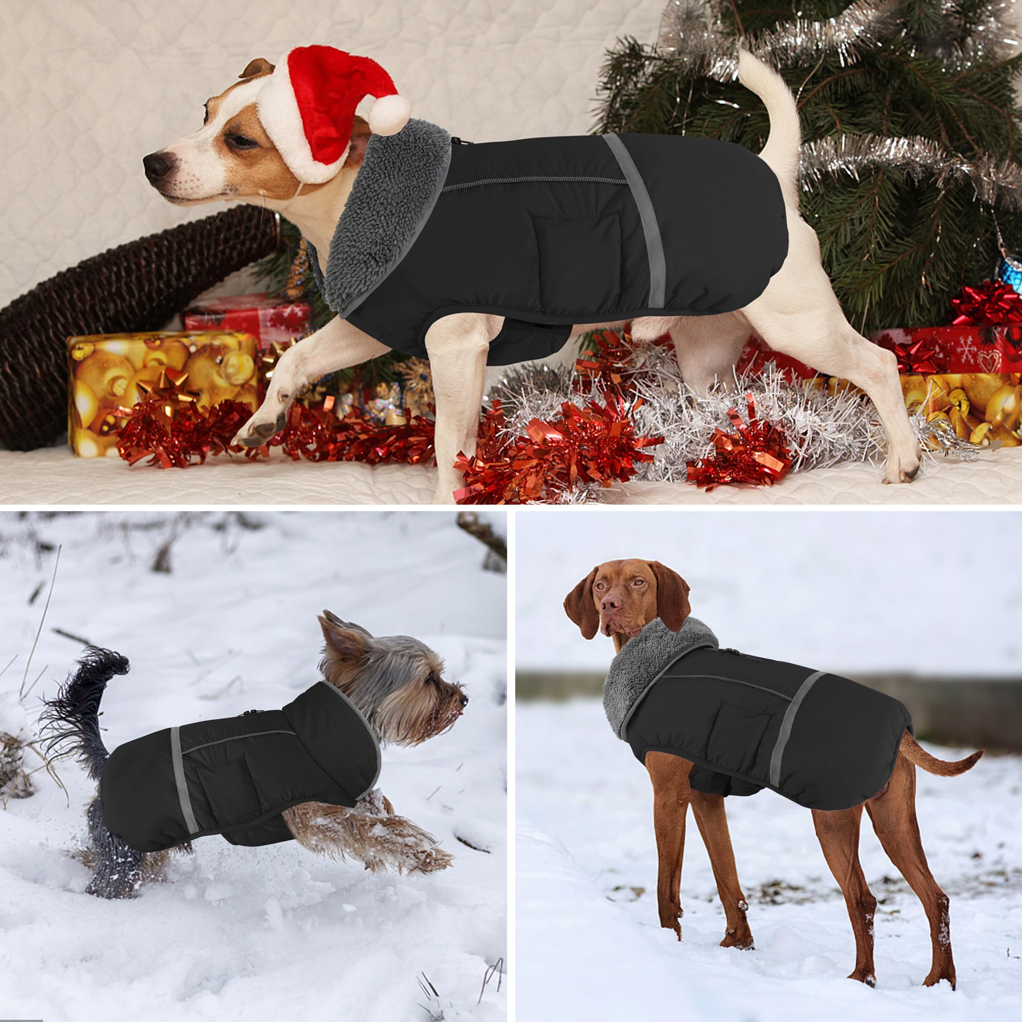 Dogcheer adjustable buckles and straps ensure secure, comfortable fit