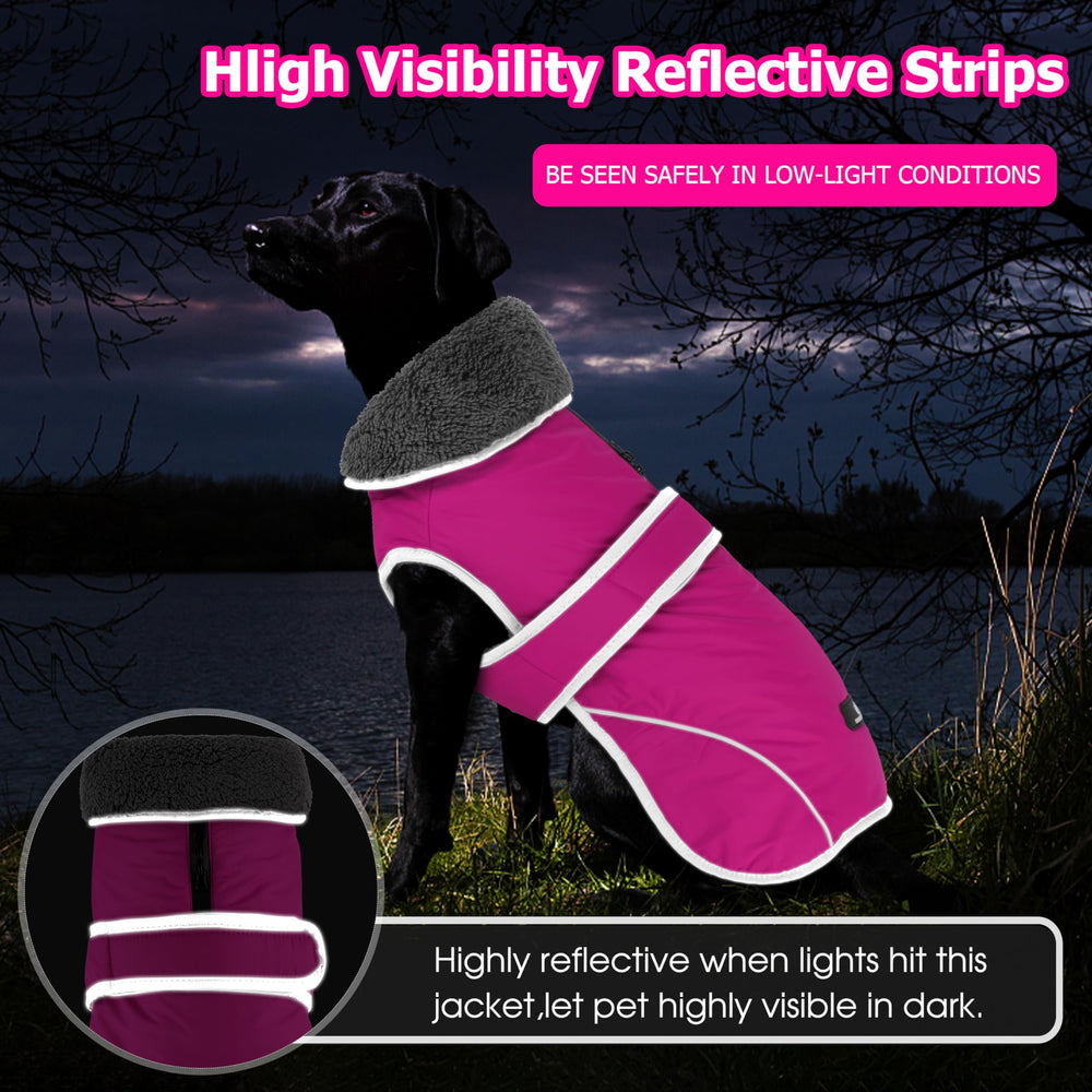 Dogcheer adjustable hook-and-loop coat secures a comfortable fit