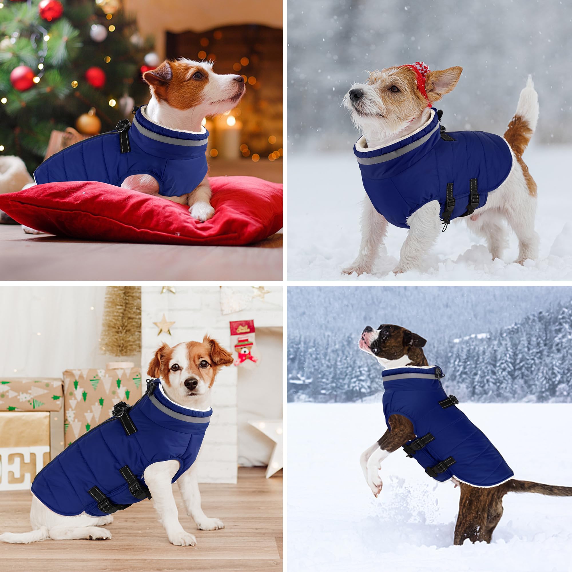 Dogcheer adjustable straps ensure comfortable fit for dogs of all sizes.