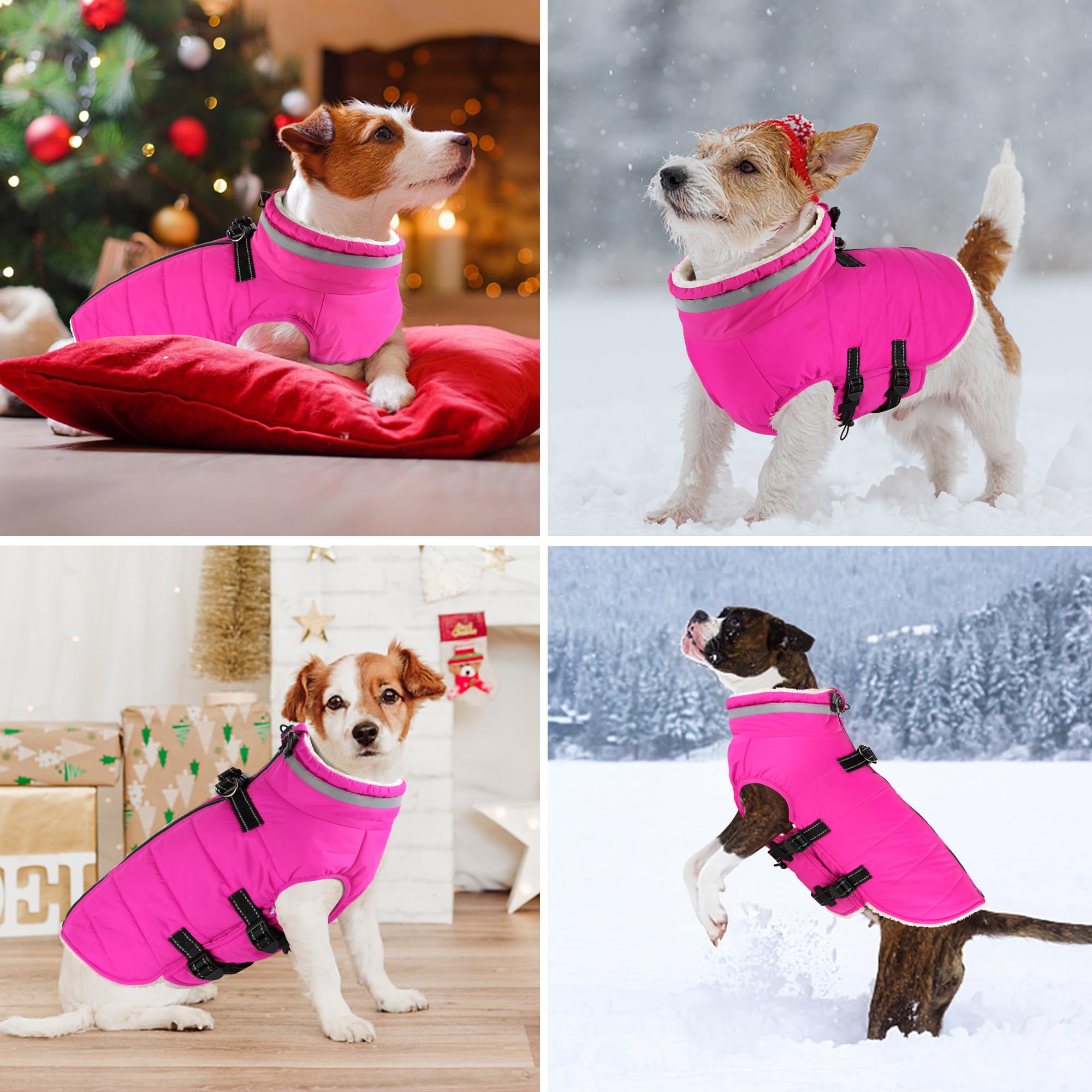 Dogcheer-adjustable-straps-underside offers a secure, customizable fit for growing dogs.