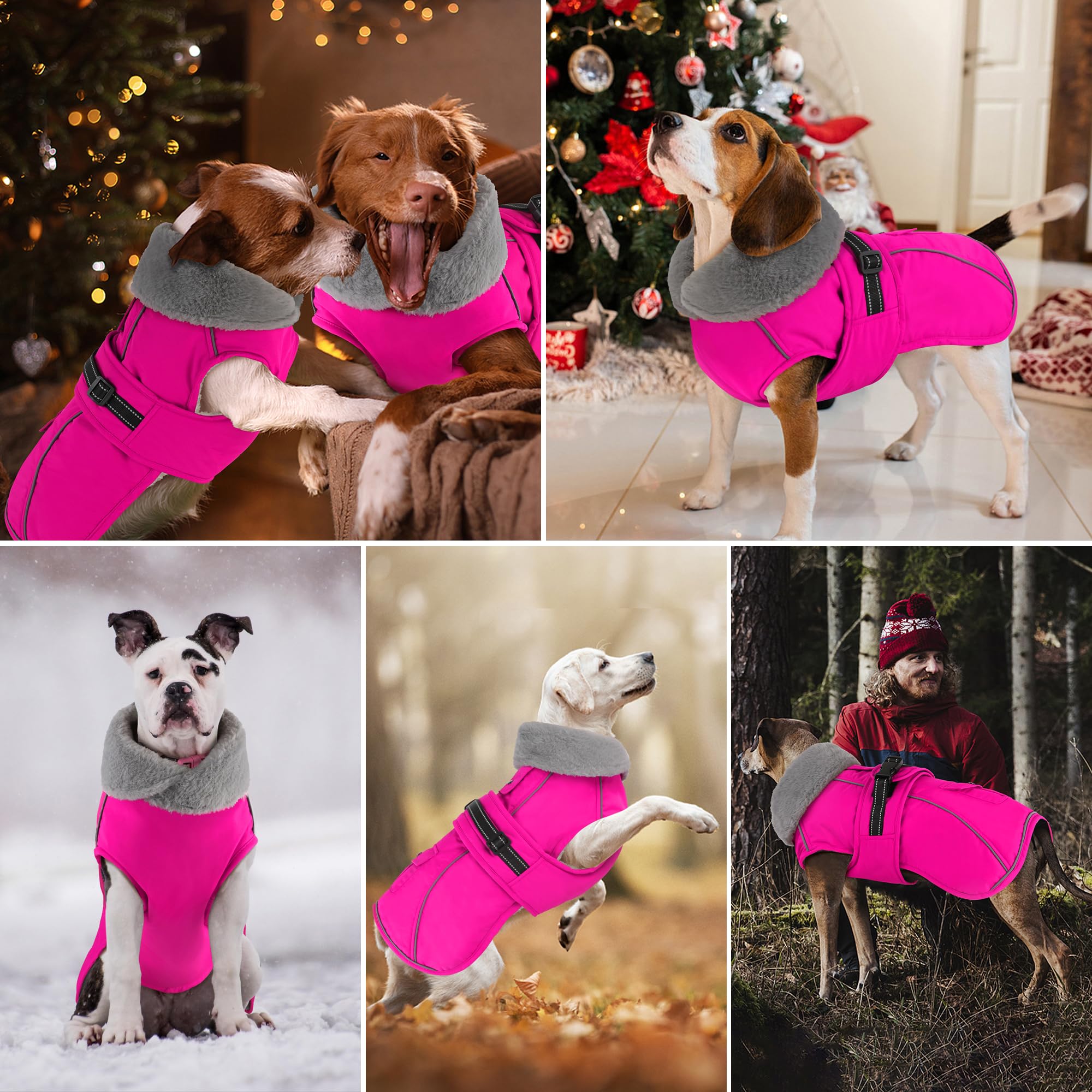 Dogcheer back-pocket design stores bags, keys or trackers