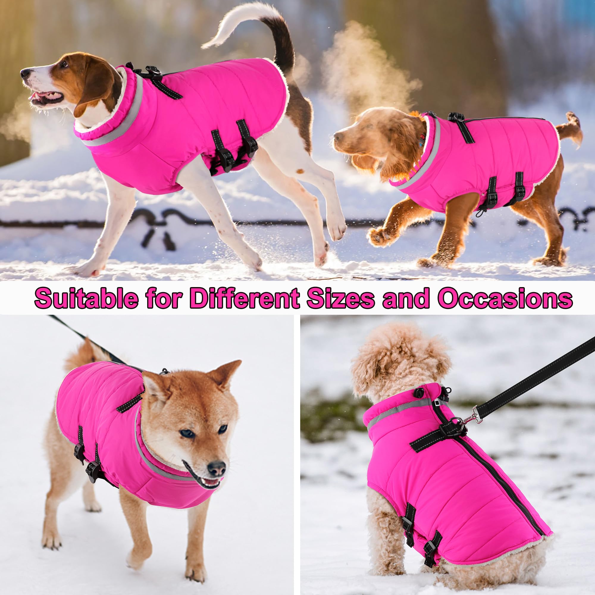 Dogcheer-back-zipper-easy-on-dog-coat enables fast dressing for outdoor adventures.