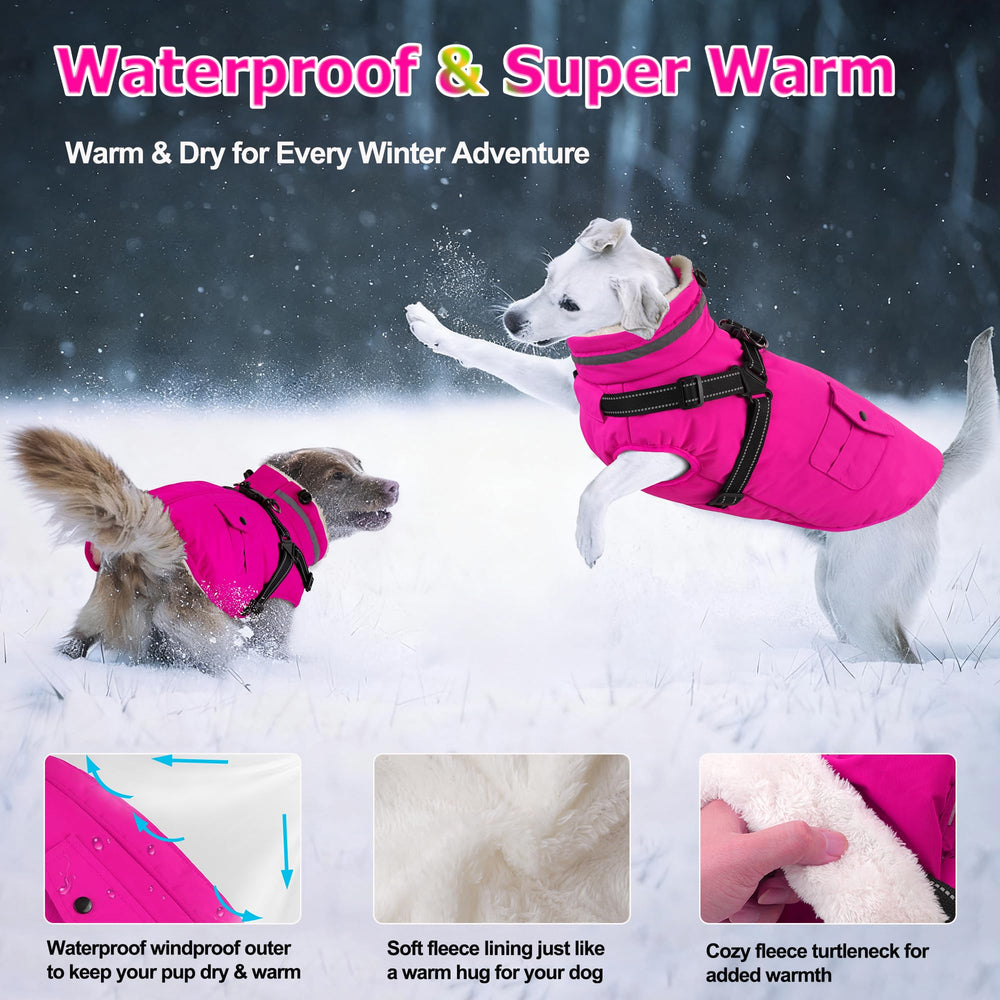Dogcheer back zipper close-up shows easy wear and hair-snag prevention.
