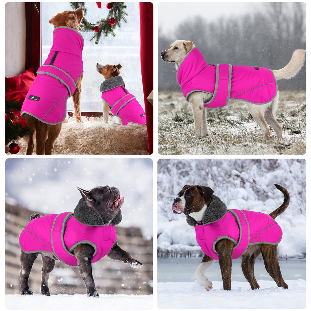 Dogcheer daily outdoor coat provides warmth for cold walks