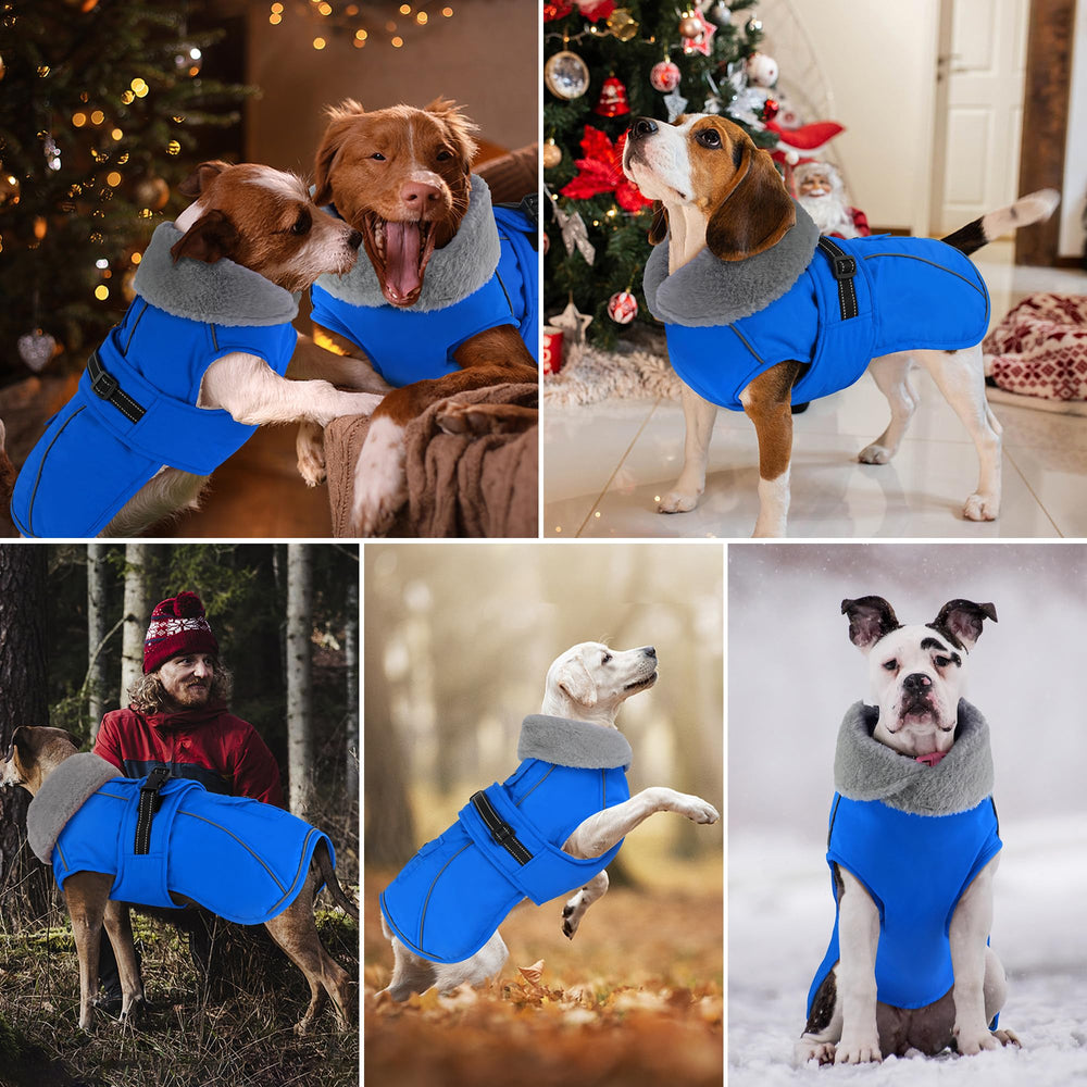 Dogcheer dog coat adjustable buckle ensures comfortable secure fit.