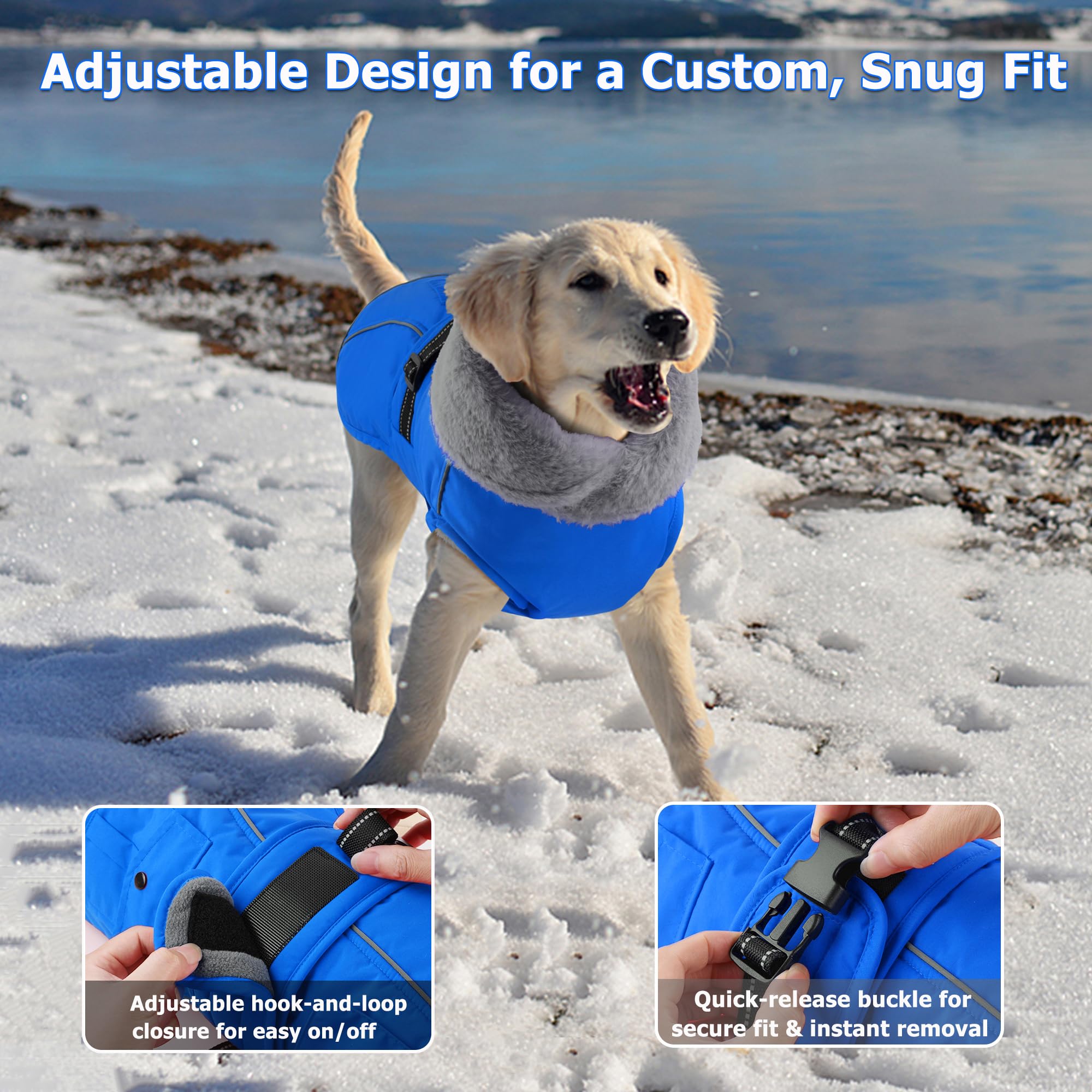 Dogcheer dog coat with foldable high collar protects ears from wind.