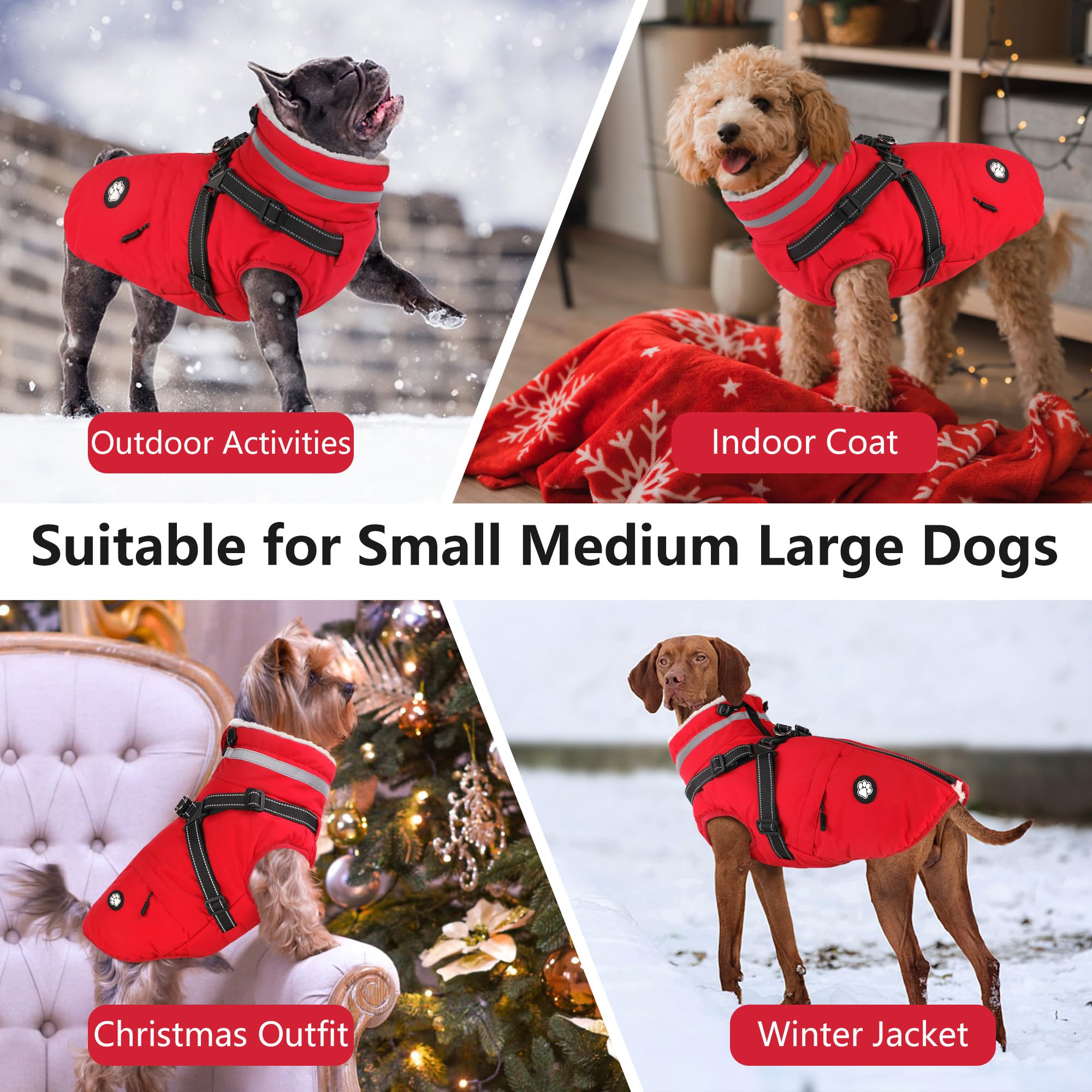 Dogcheer size-measure-guide helps you pick the right fit across chest, back, and neck.