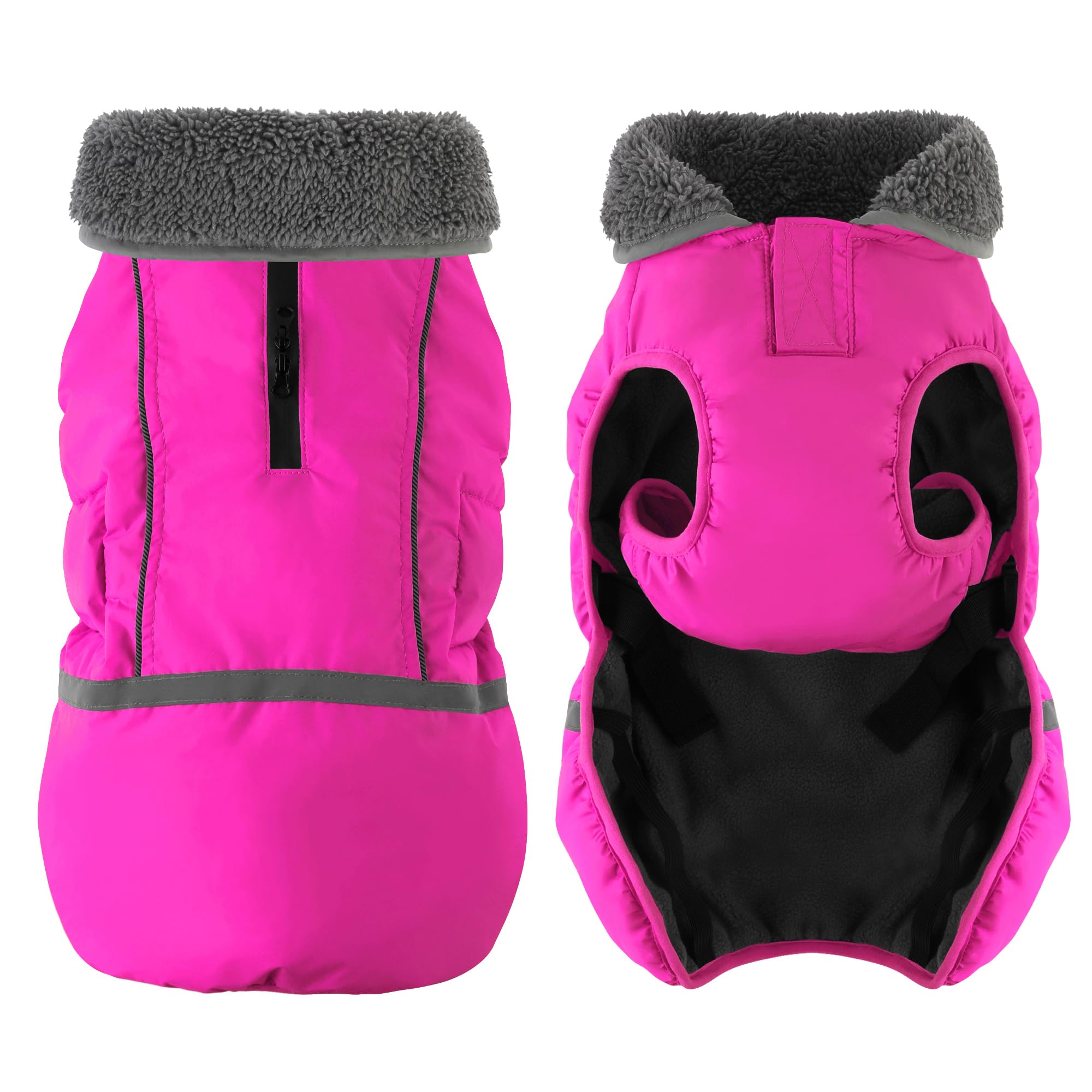 Dogcheer dog wearing winter coat snow walk scene showcases cozy protection outdoors.