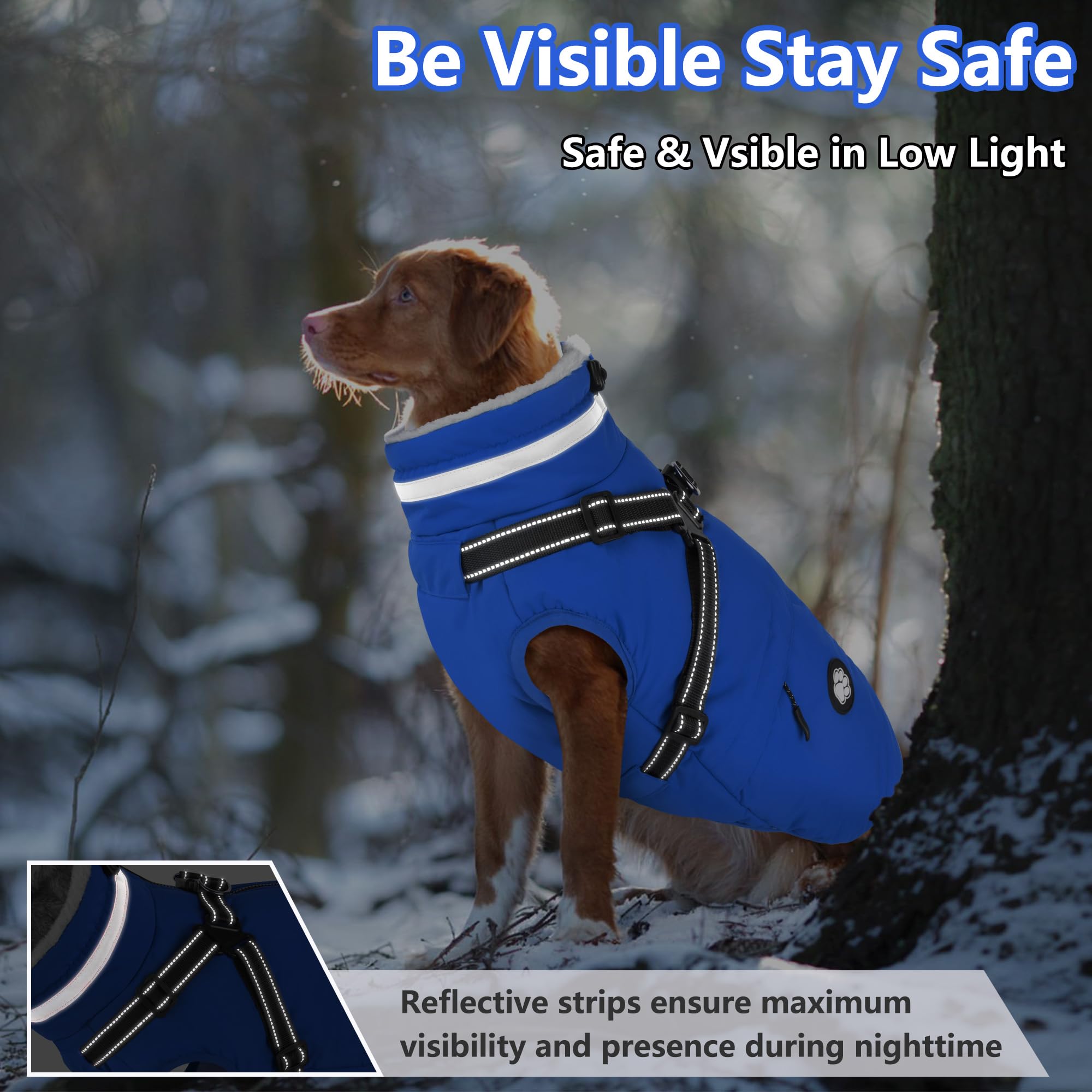 Dogcheer easy-zip closure enables effortless on/off