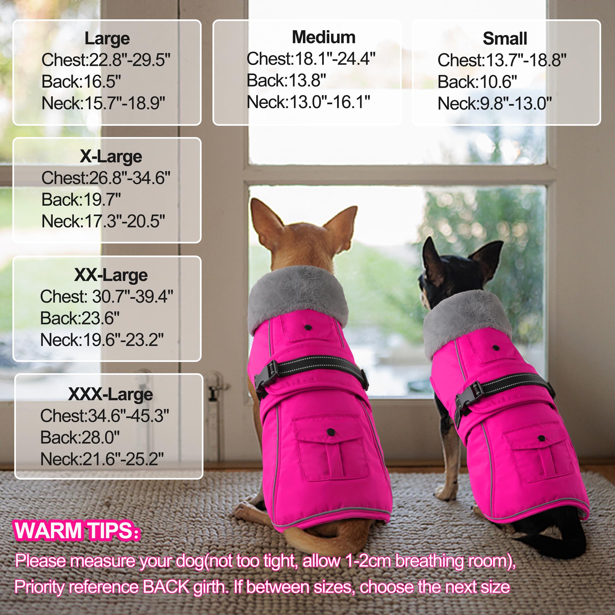 Dogcheer foldable high collar blocks wind and adds style