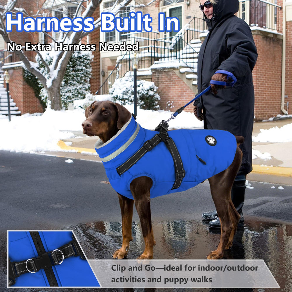 Dogcheer harness-integrated coat shows secure fit for active dogs