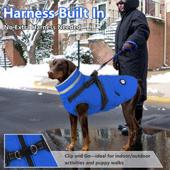 Dogcheer harness-integrated coat shows secure fit for active dogs