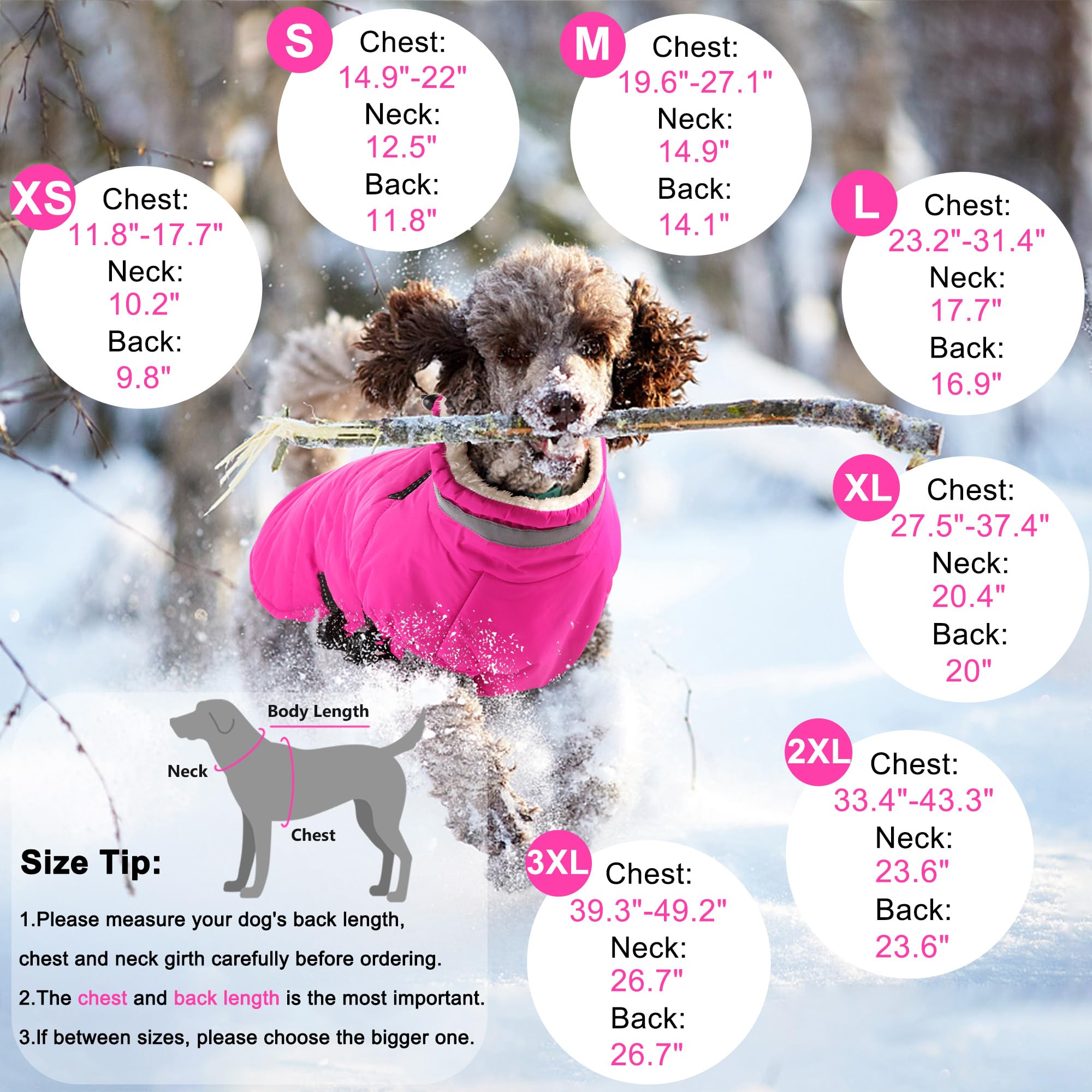 Dogcheer integrated-harness-warm-coat demonstrates all in one harness and coat for easy wear.