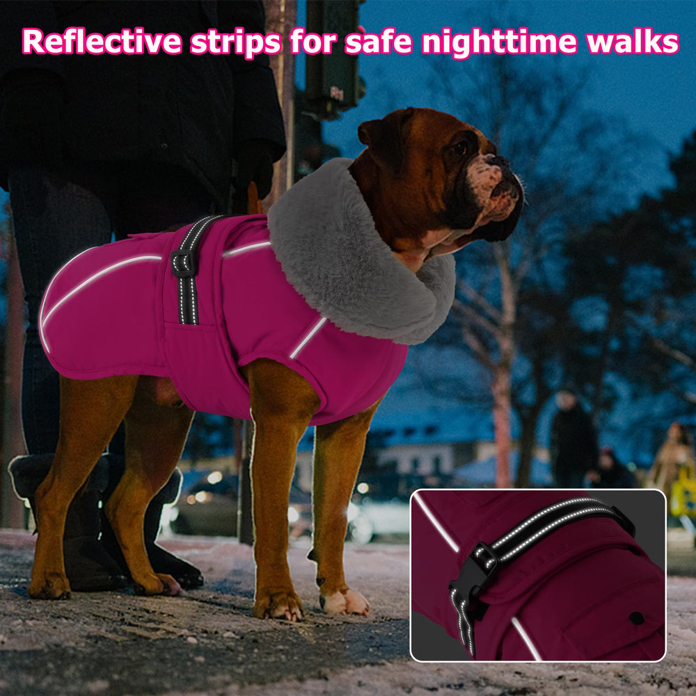 Dogcheer leash hole waterproof jacket keeps harness connected outdoors