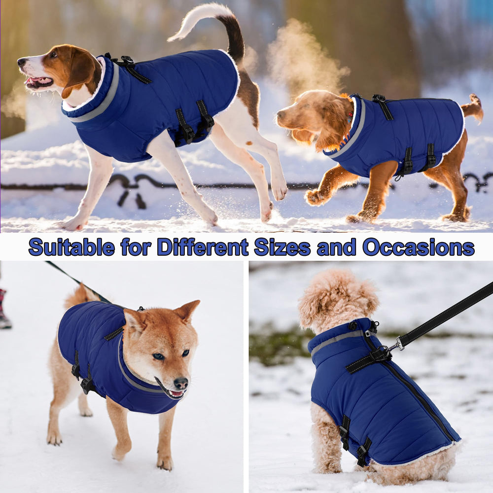 Dogcheer machine washable coat simplifies care after muddy outings.