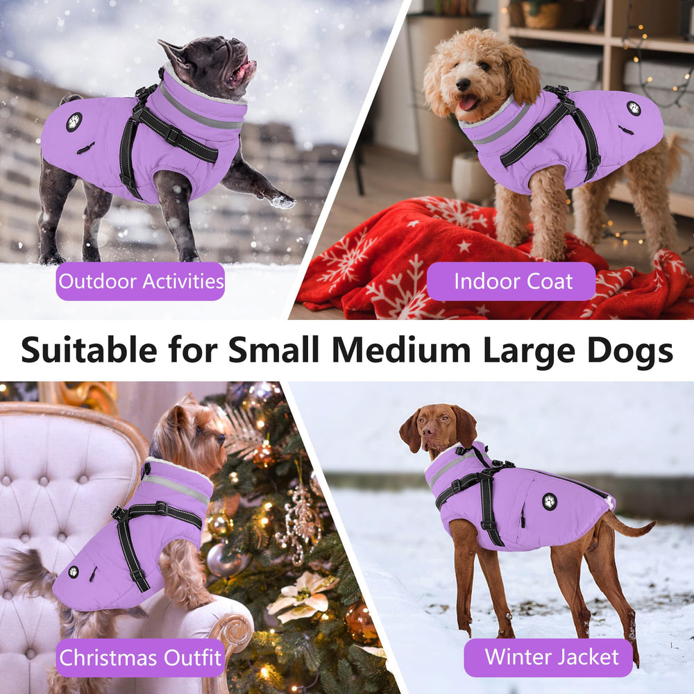 Dogcheer model wearing coat, demonstrates all-breed fit for winter walks.