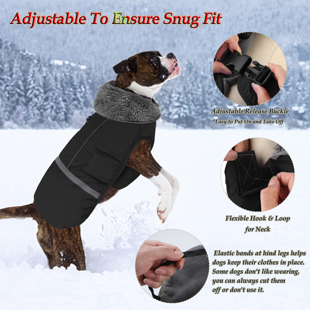 Dogcheer reflective coat improves visibility for night walks