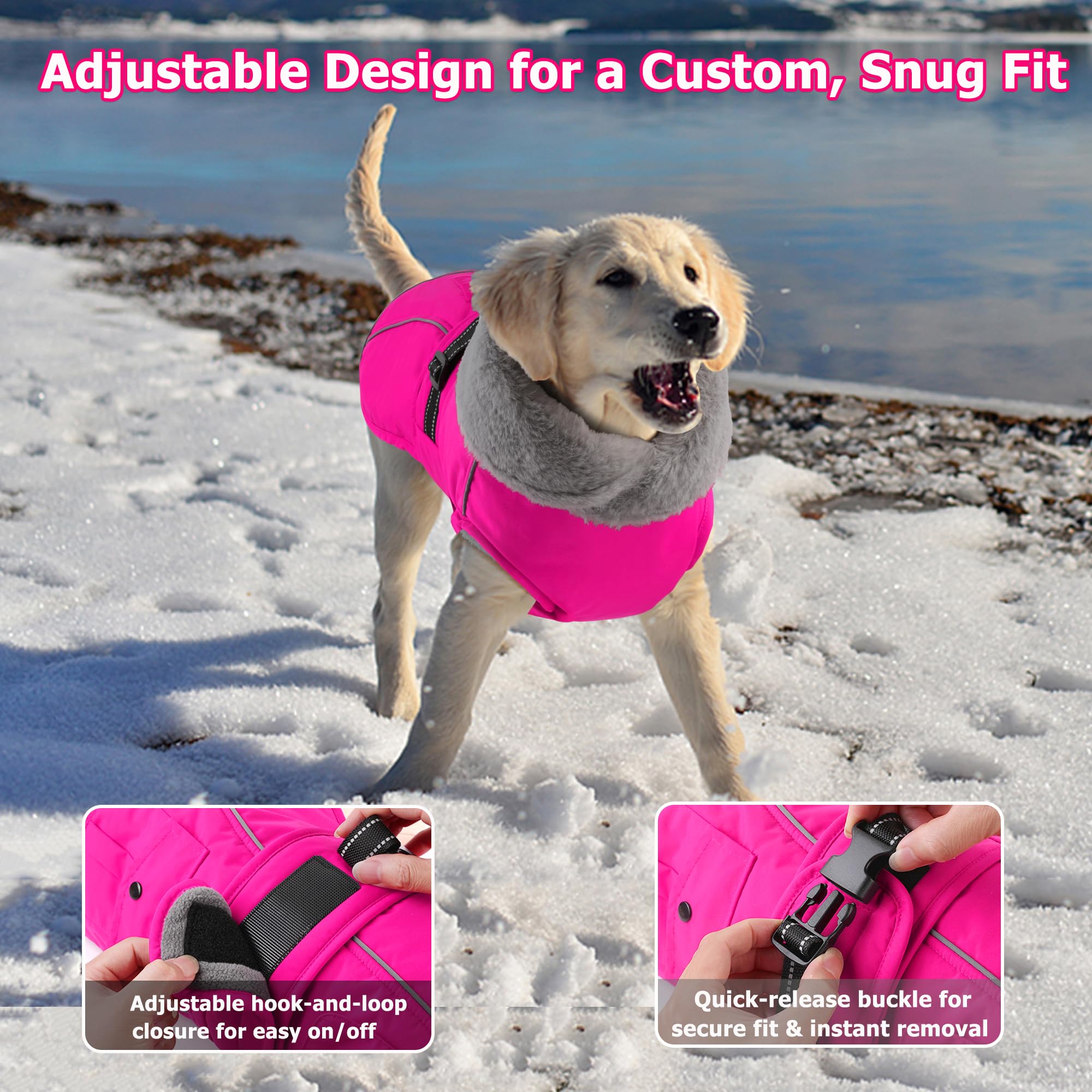 Dogcheer reflective stripes improve visibility during dawn or dusk