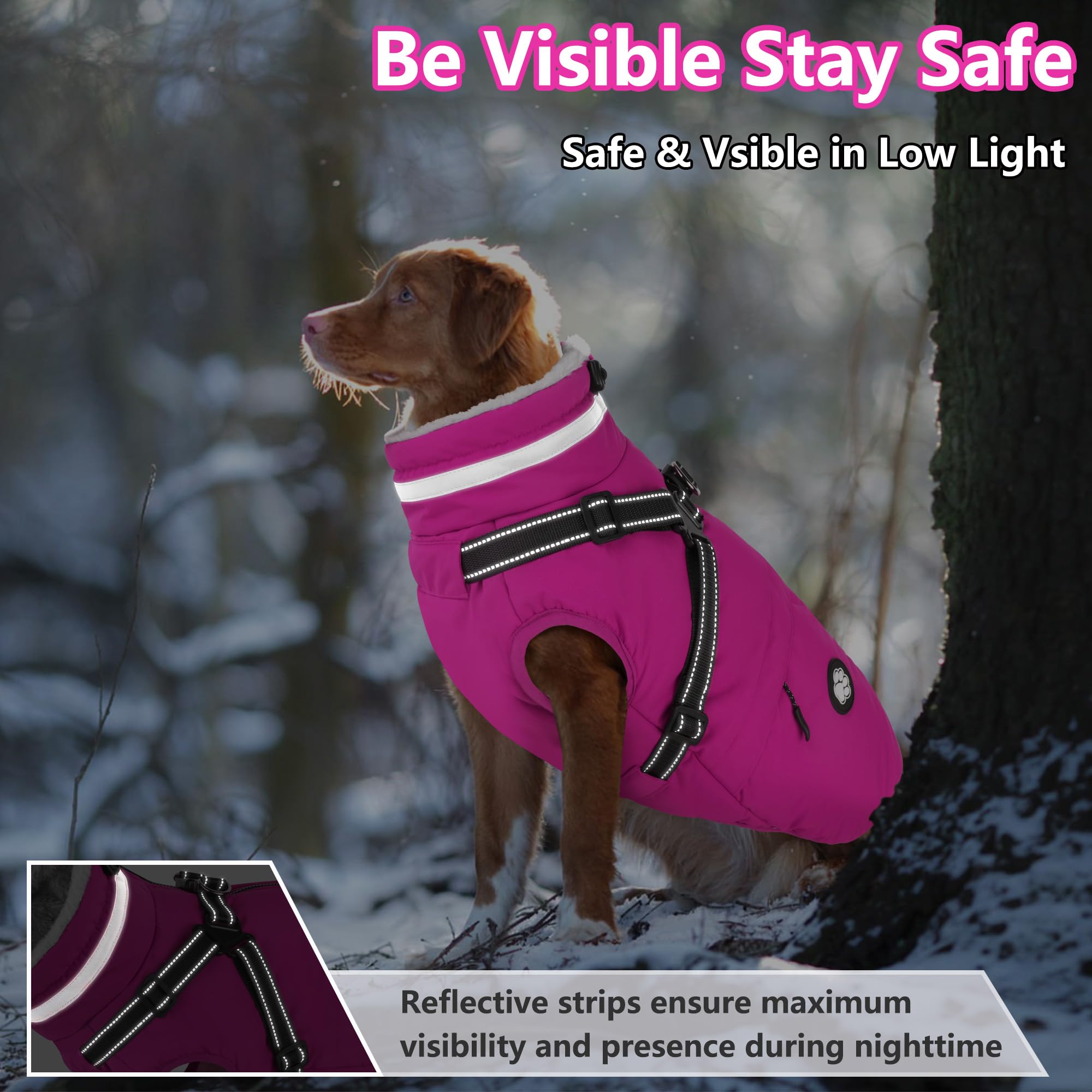 Dogcheer coat features reflective strips for visibility.