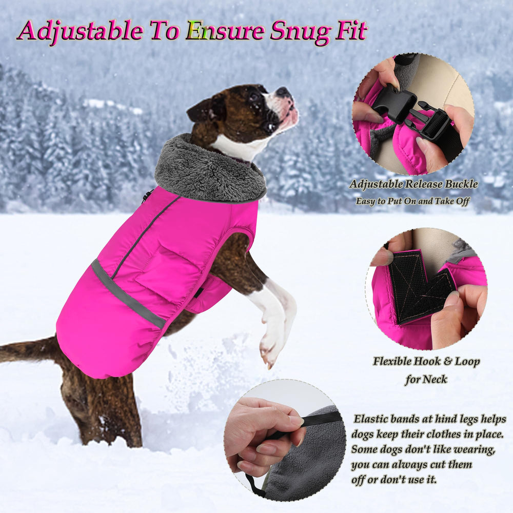 Dogcheer reflective strips safety highlight for night walks and visibility.