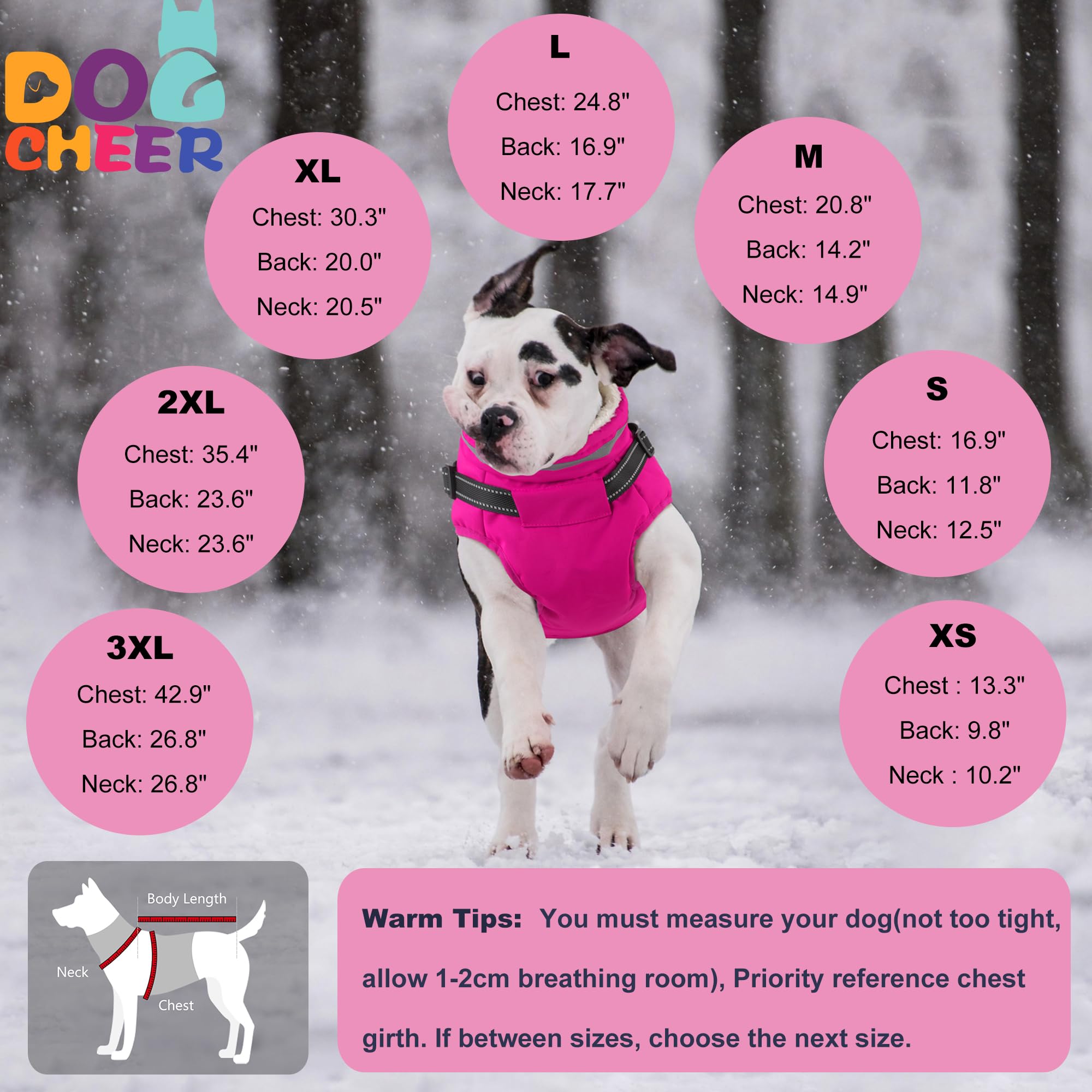 Dogcheer size-guide seven-sizes image helps pick the right fit.