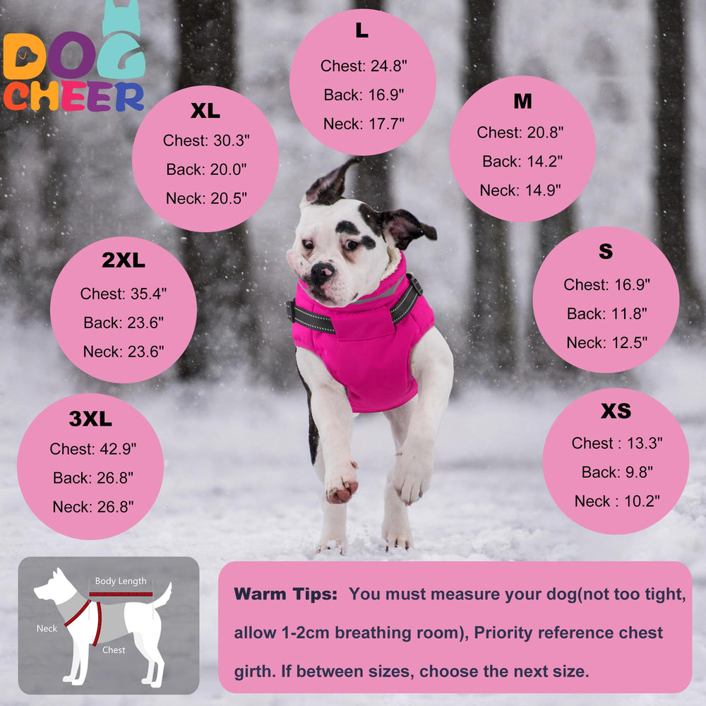 Dogcheer size-guide seven-sizes image helps pick the right fit.
