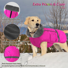 Dogcheer thick fleece lining back view demonstrates cozy warmth on cold outings.