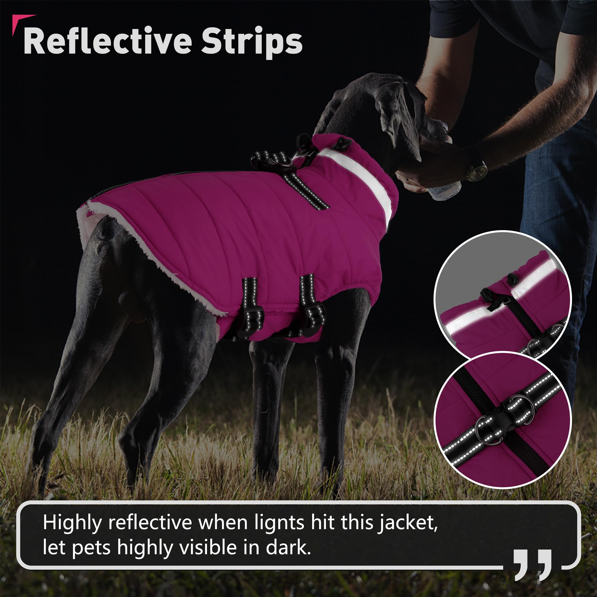 Dogcheer-turtleneck-windproof-dog-coat keeps neck warm against chilly winds.