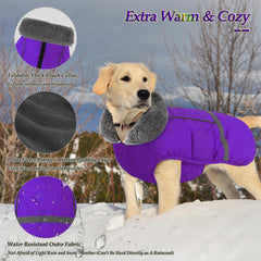 Dogcheer Warm Dog Coat back view with reflective strip for night visibility.