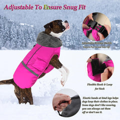 Dogcheer warm coat leash-attachment design facilitates easy harness use