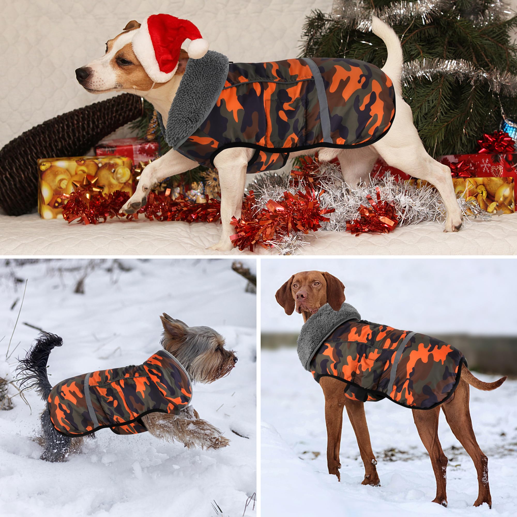 Dogcheer warm dog coat back zipper area shows leash-friendly design.
