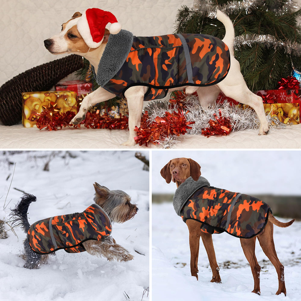 Dogcheer warm dog coat back zipper area shows leash-friendly design.
