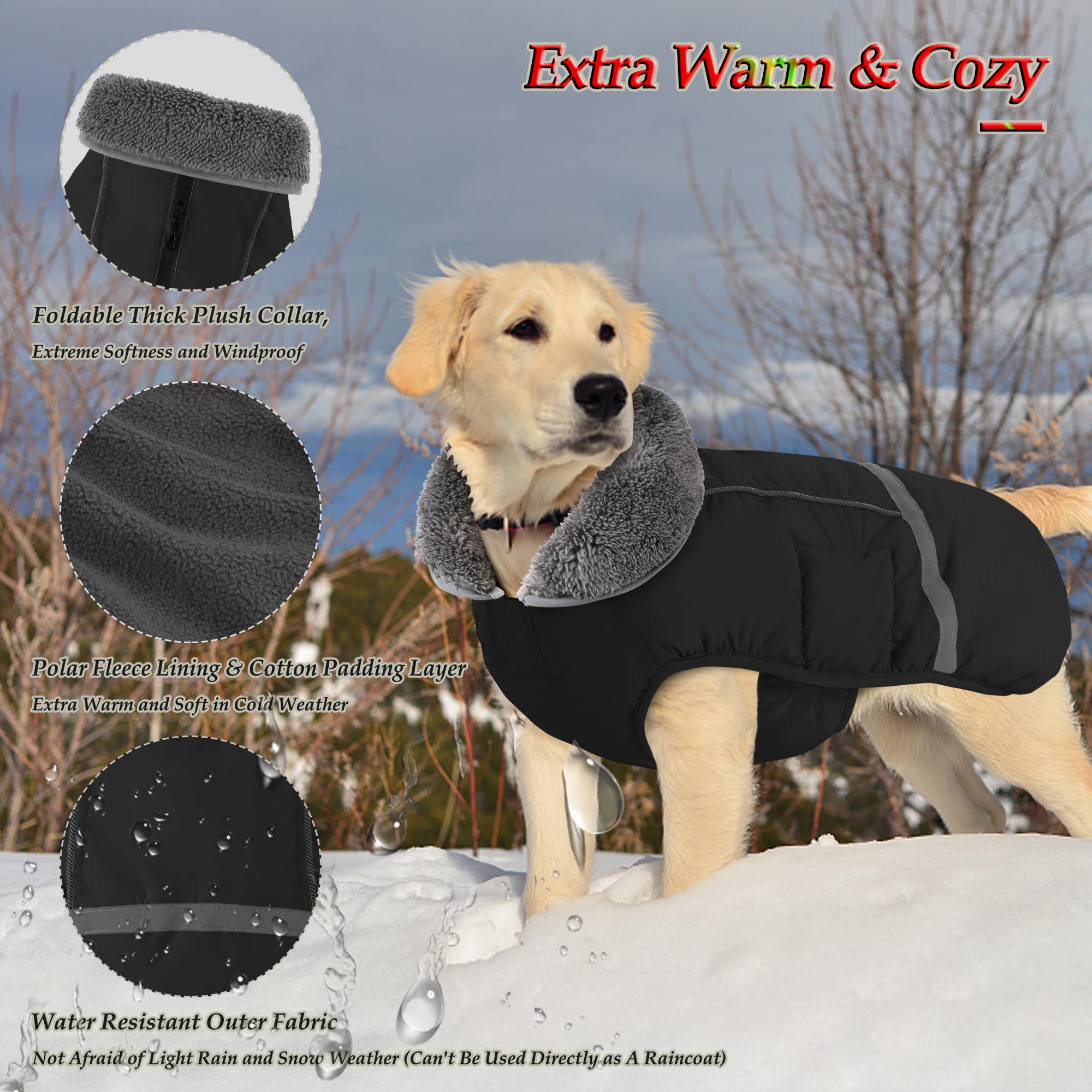 Dogcheer warm coat left-side fit on a small dog outdoors.