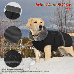 Dogcheer warm coat left-side fit on a small dog outdoors.