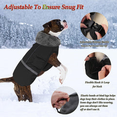 Dogcheer warm coat on dog wearing it with buckle and harness.