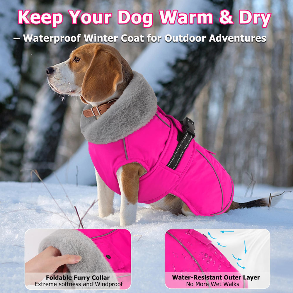 Dogcheer warm fleece-lined dog jacket provides cozy warmth on cold walks