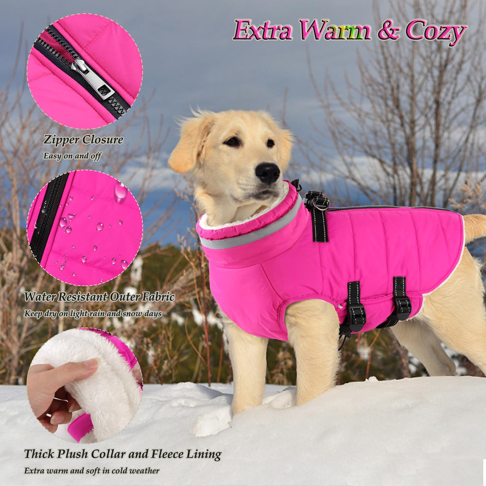 Dogcheer-warm-fleece-lining-dog-jacket provides cozy warmth on cold city strolls.