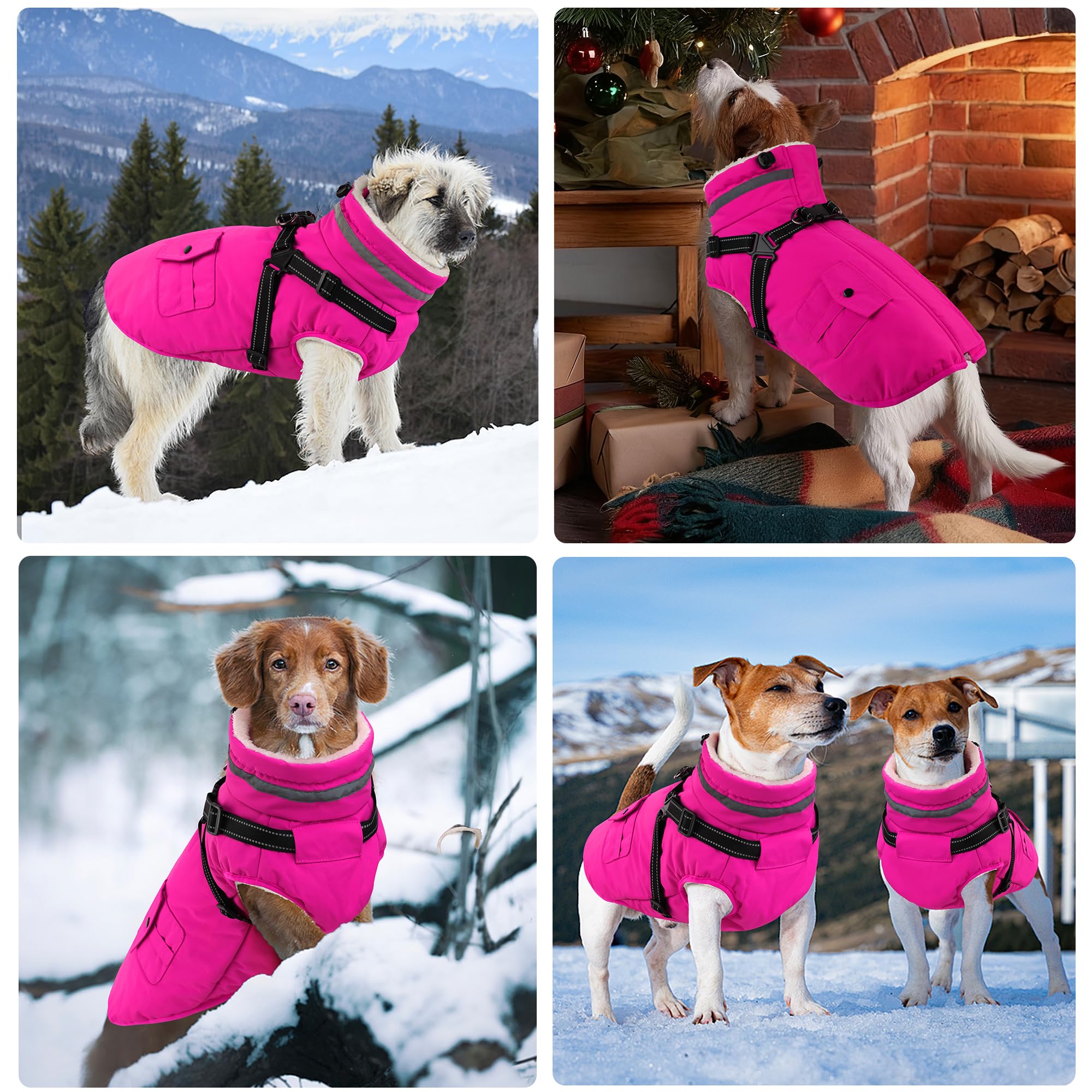 Dogcheer waterproof warm dog jacket fleece lining keeps small dogs dry.
